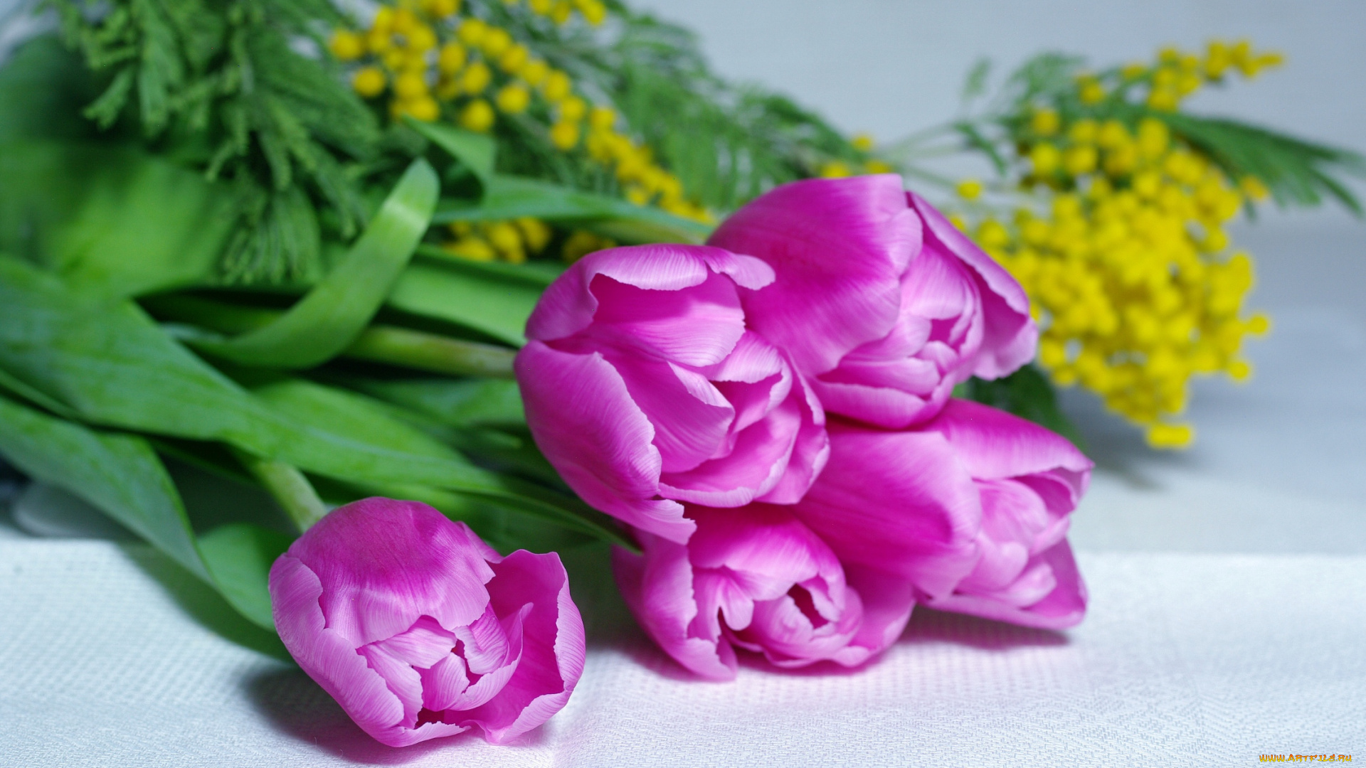 цветы, разные, вместе, мимоза, тюльпаны