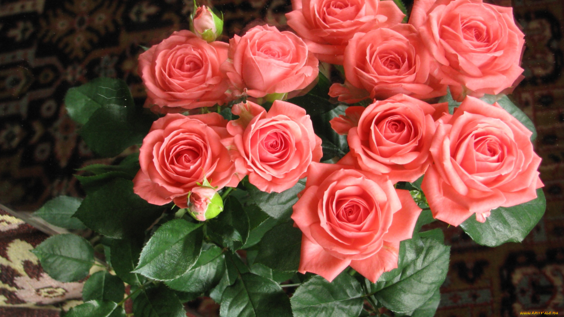 цветы, розы, букет