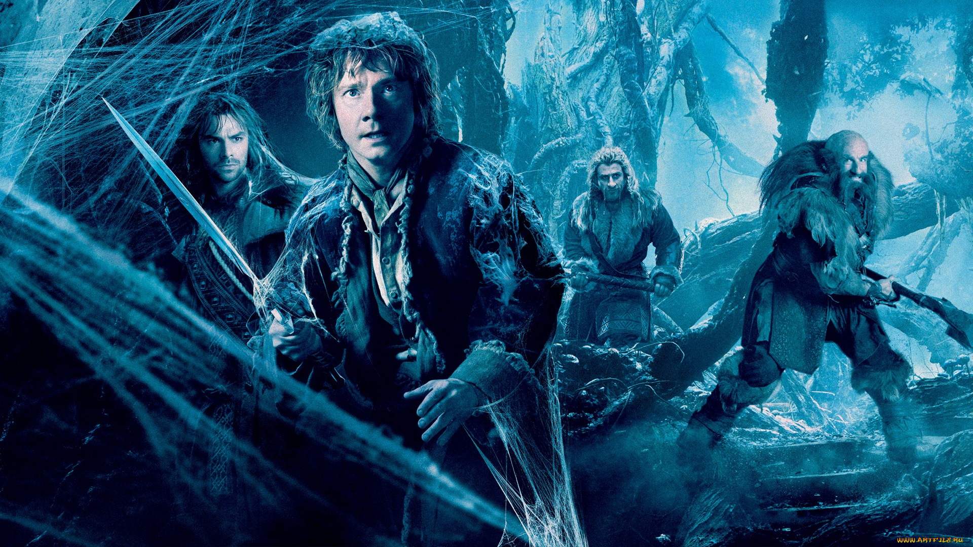the, hobbit, , the, desolation, of, smaug, кино, фильмы, мужчины