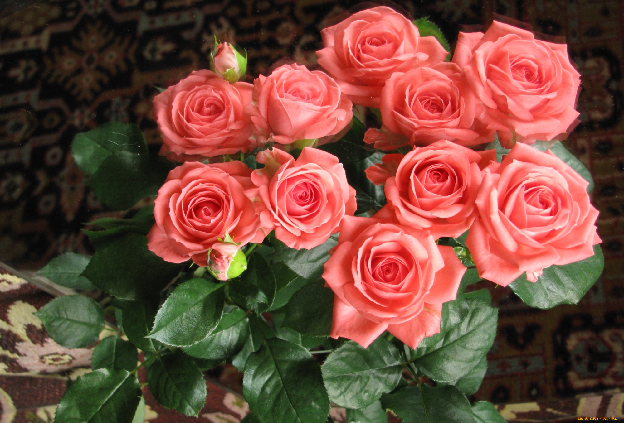 цветы, розы, букет