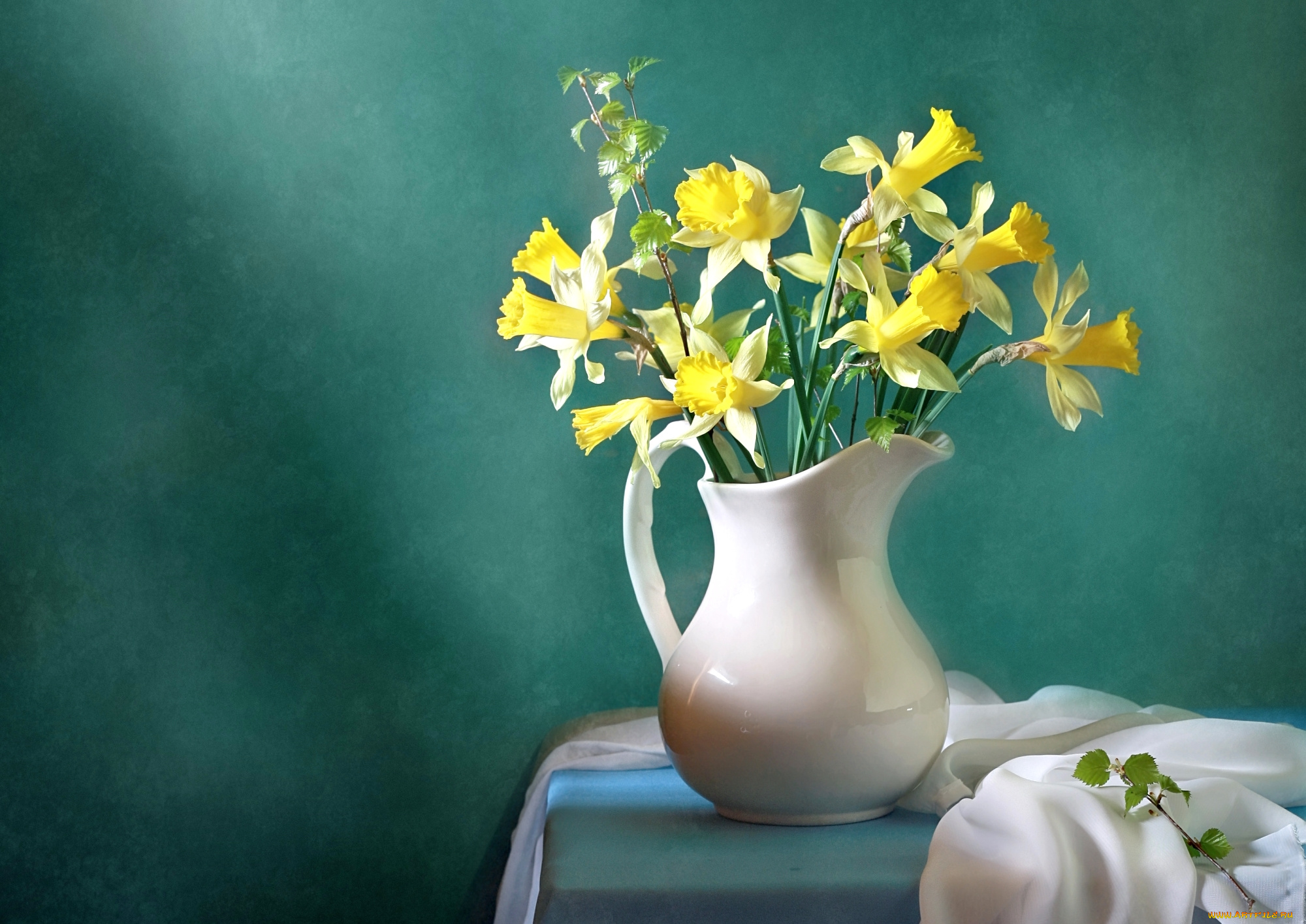 цветы, нарциссы, кувшин