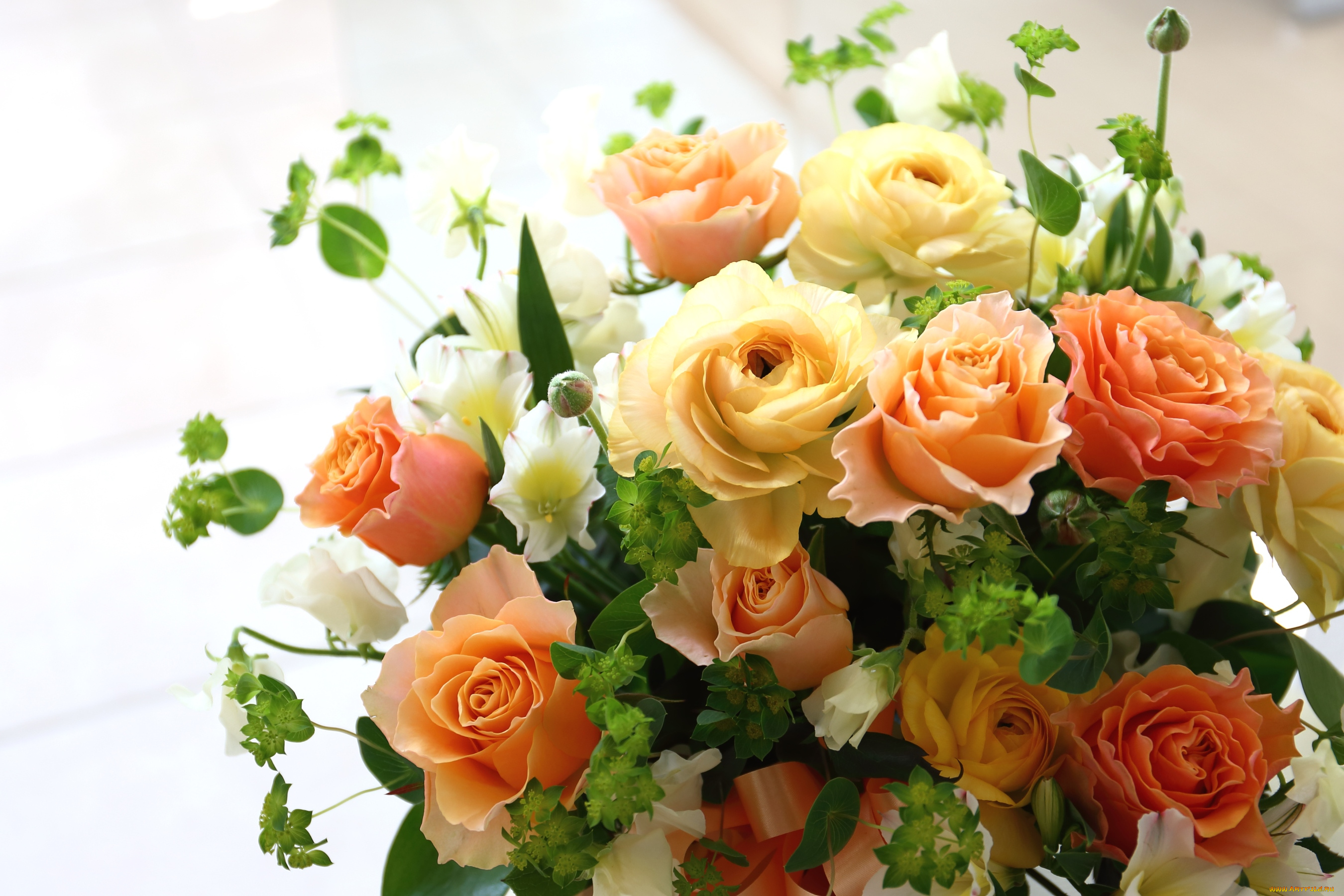 цветы, букеты, , композиции, букет