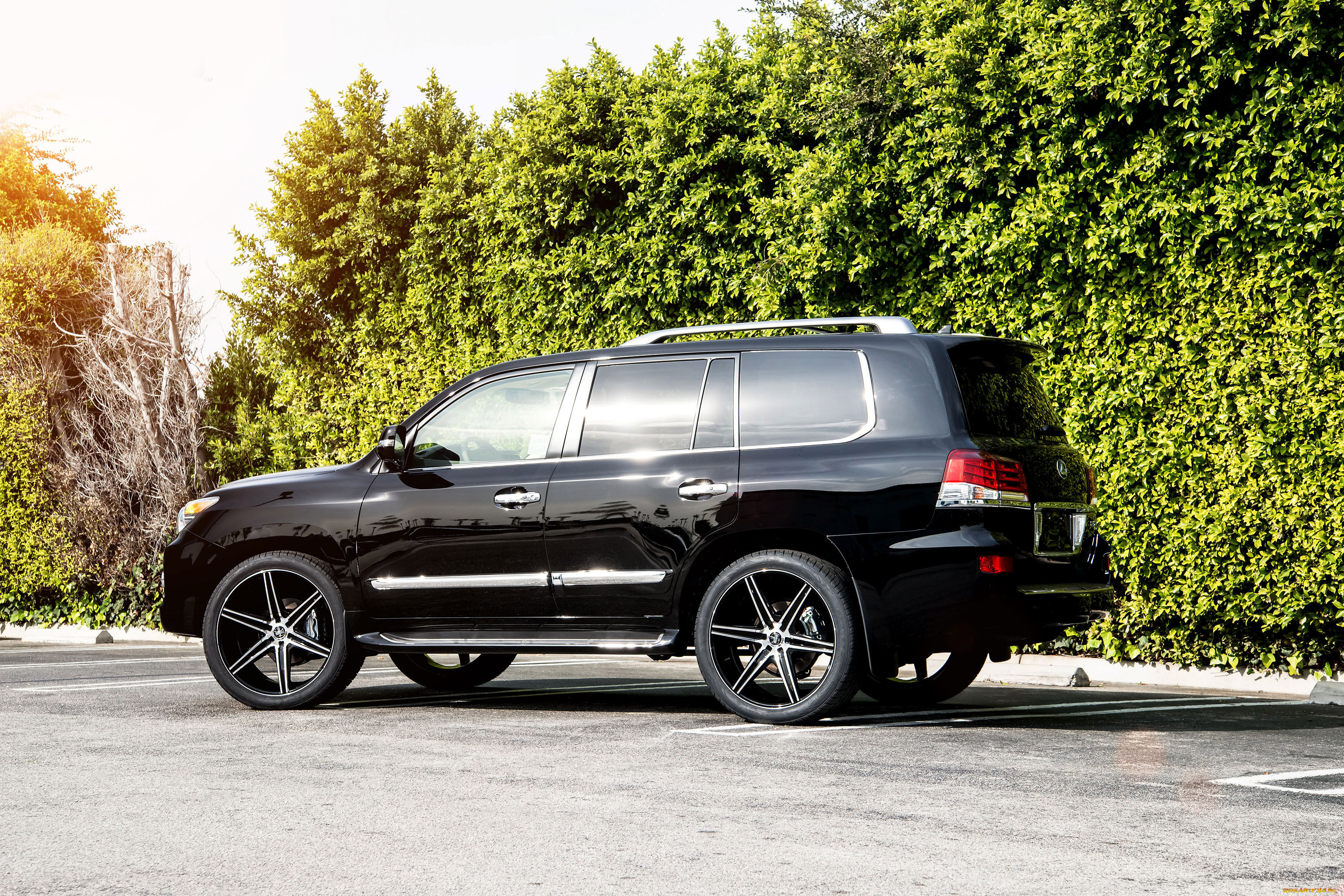 автомобили, lexus, dub