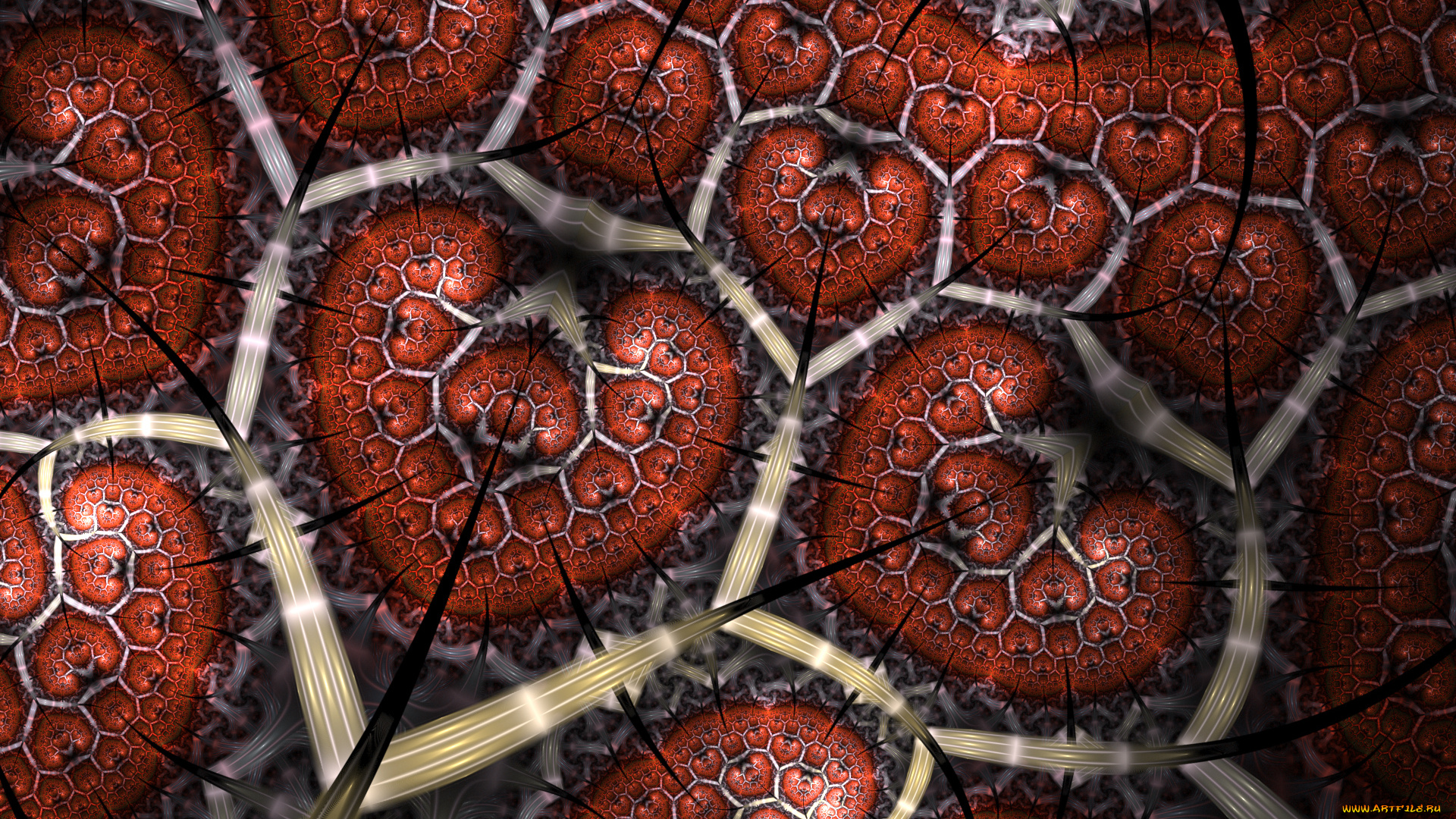 3д, графика, фракталы, , fractal, цвета, фон, узор