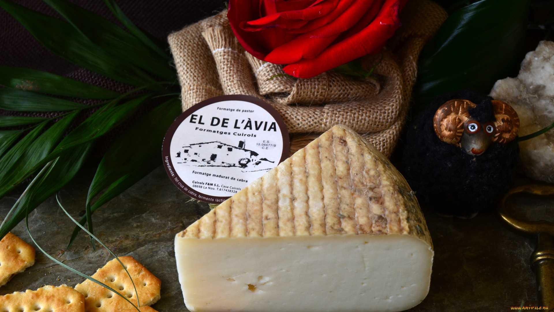el, de, l`&, 192, via, еда, сырные, изделия, сыр