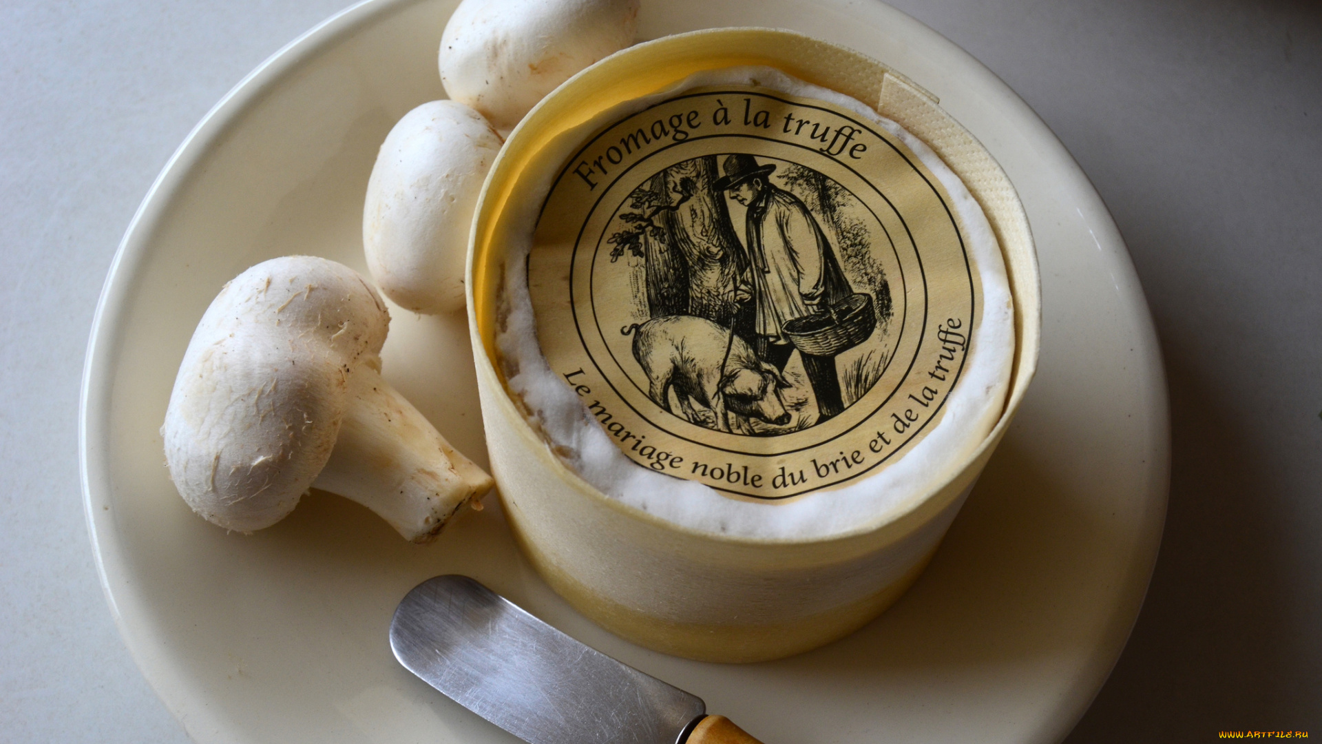 fromage, &, 224, , la, truffe, еда, сырные, изделия, сыр