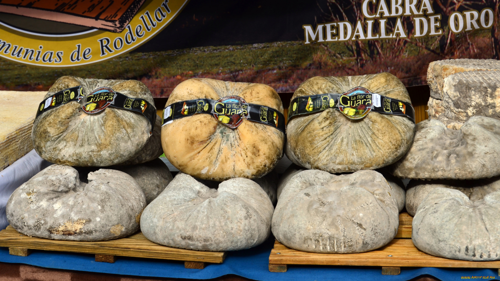 la, flor, de, guara, еда, сырные, изделия, сыр