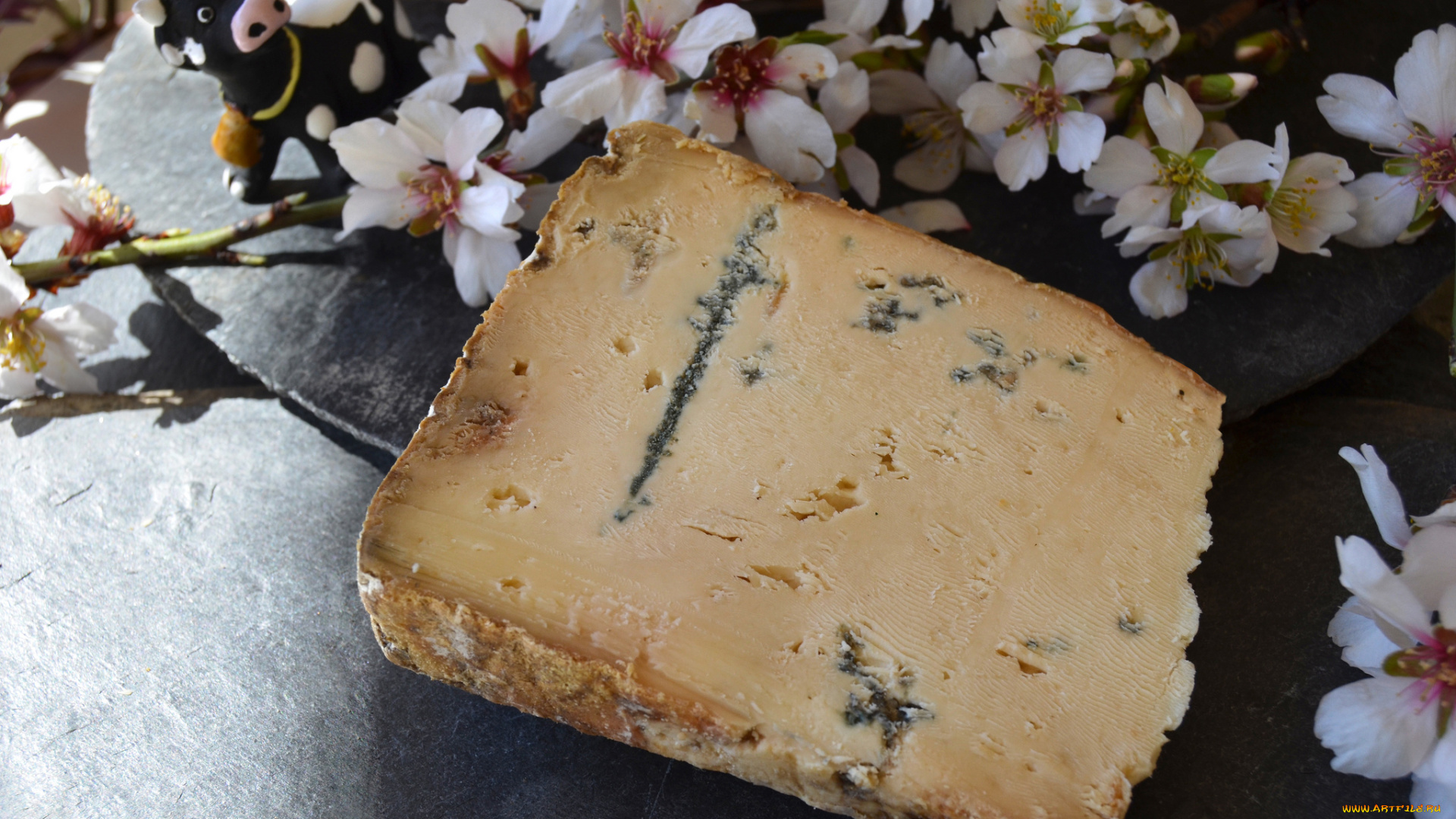 l`atrevit, de, betara, еда, сырные, изделия, сыр