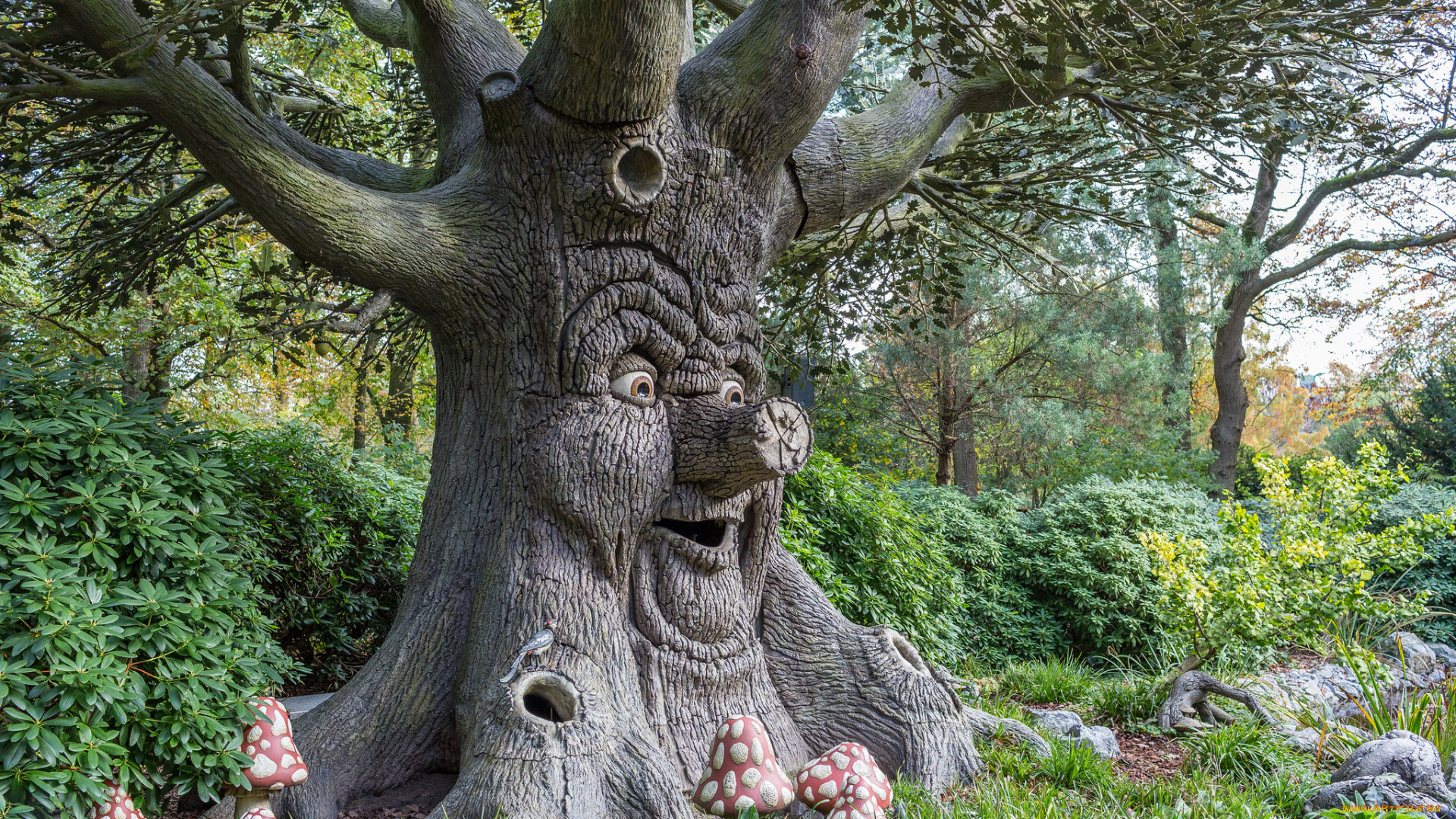 природа, деревья, дерево, сказка