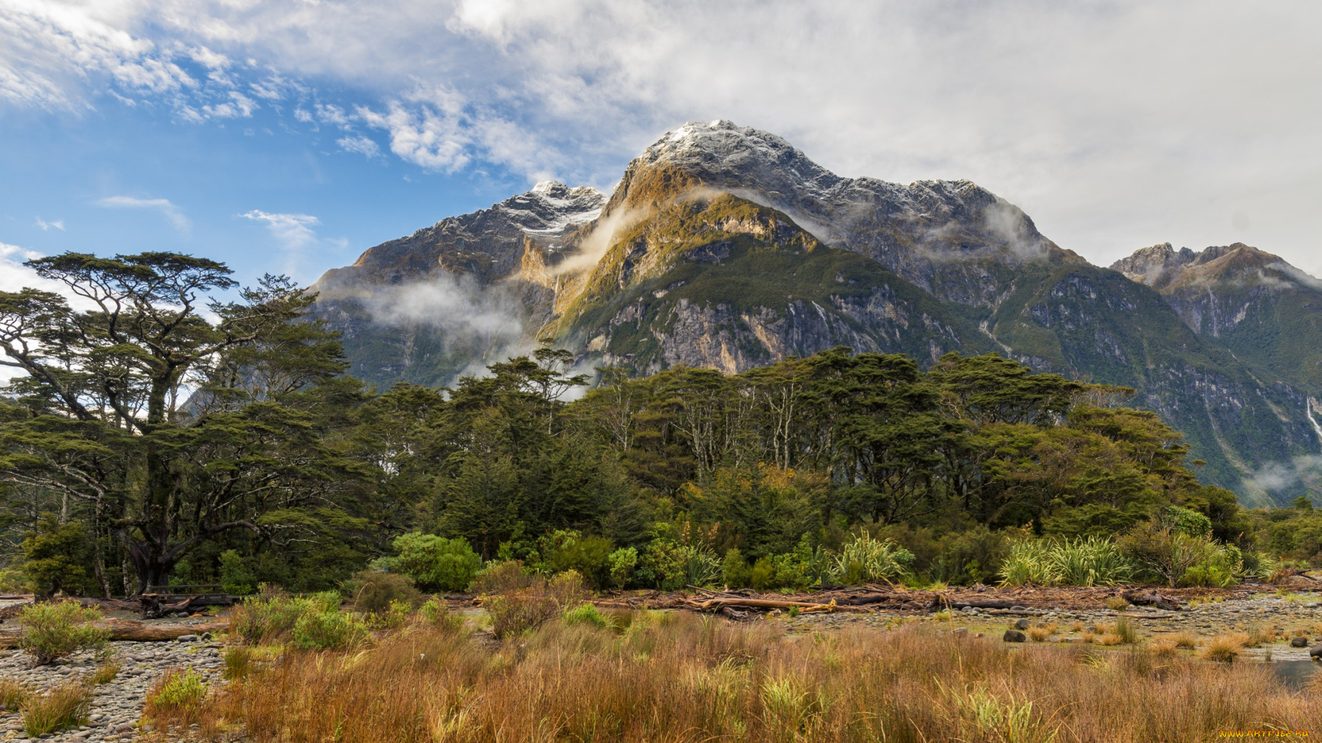 природа, тропики, горы, саванна
