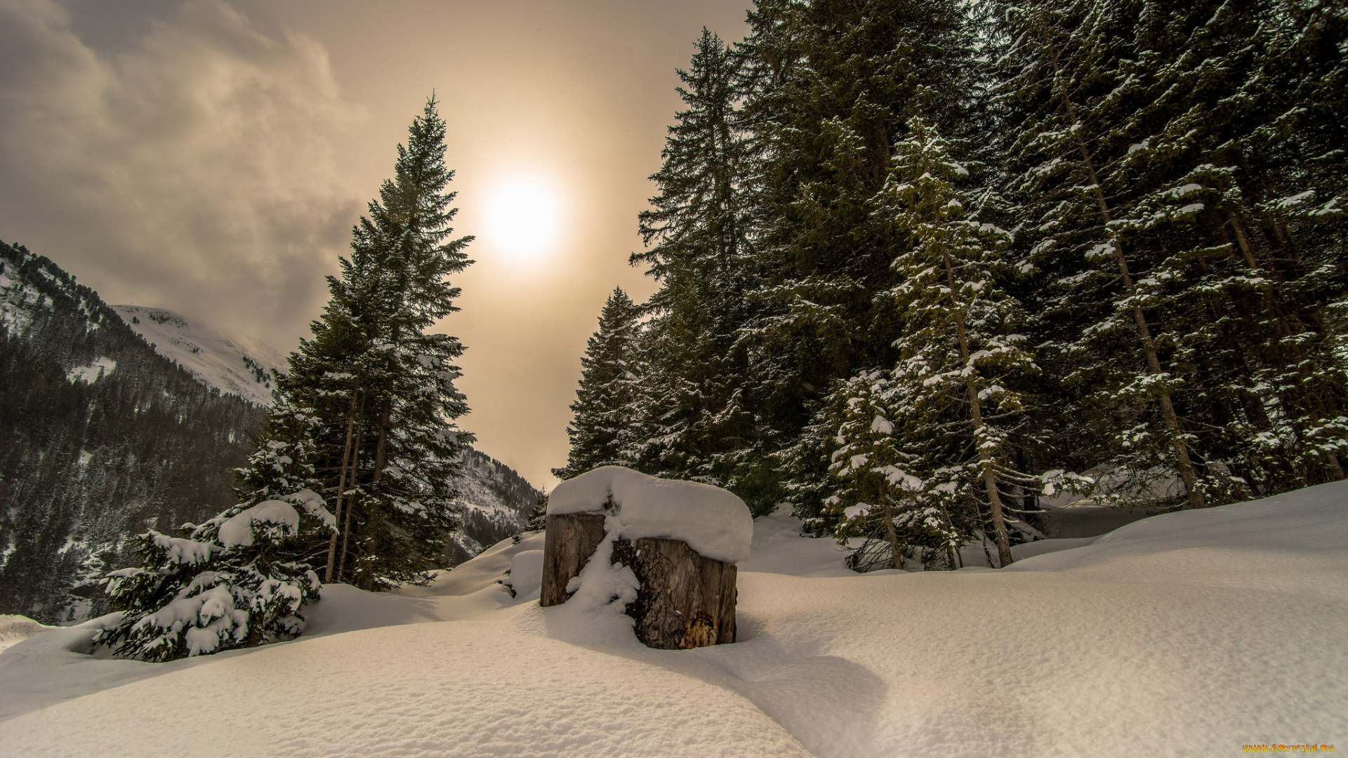 природа, зима, снег, ели, сугробы