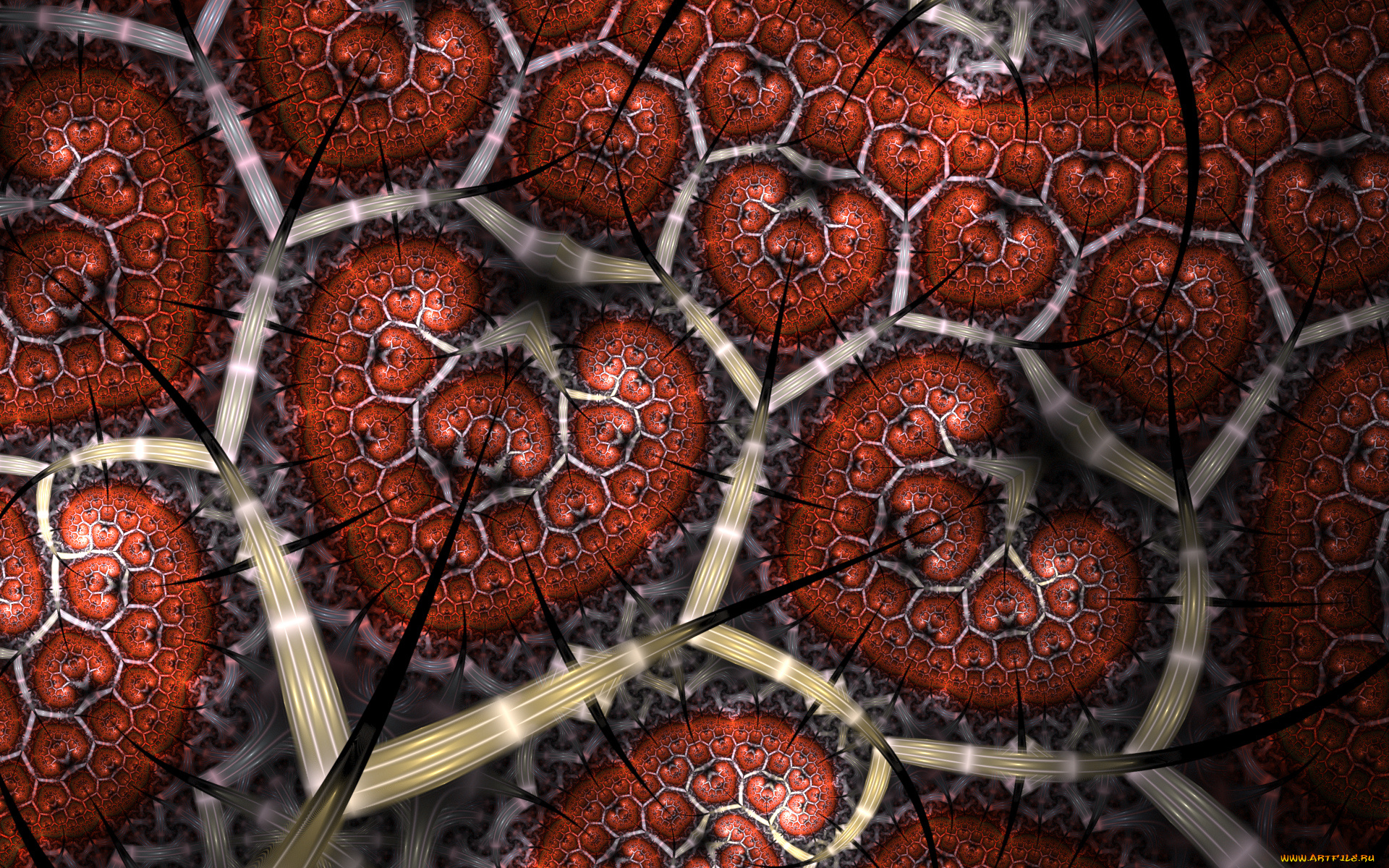 3д, графика, фракталы, , fractal, цвета, фон, узор