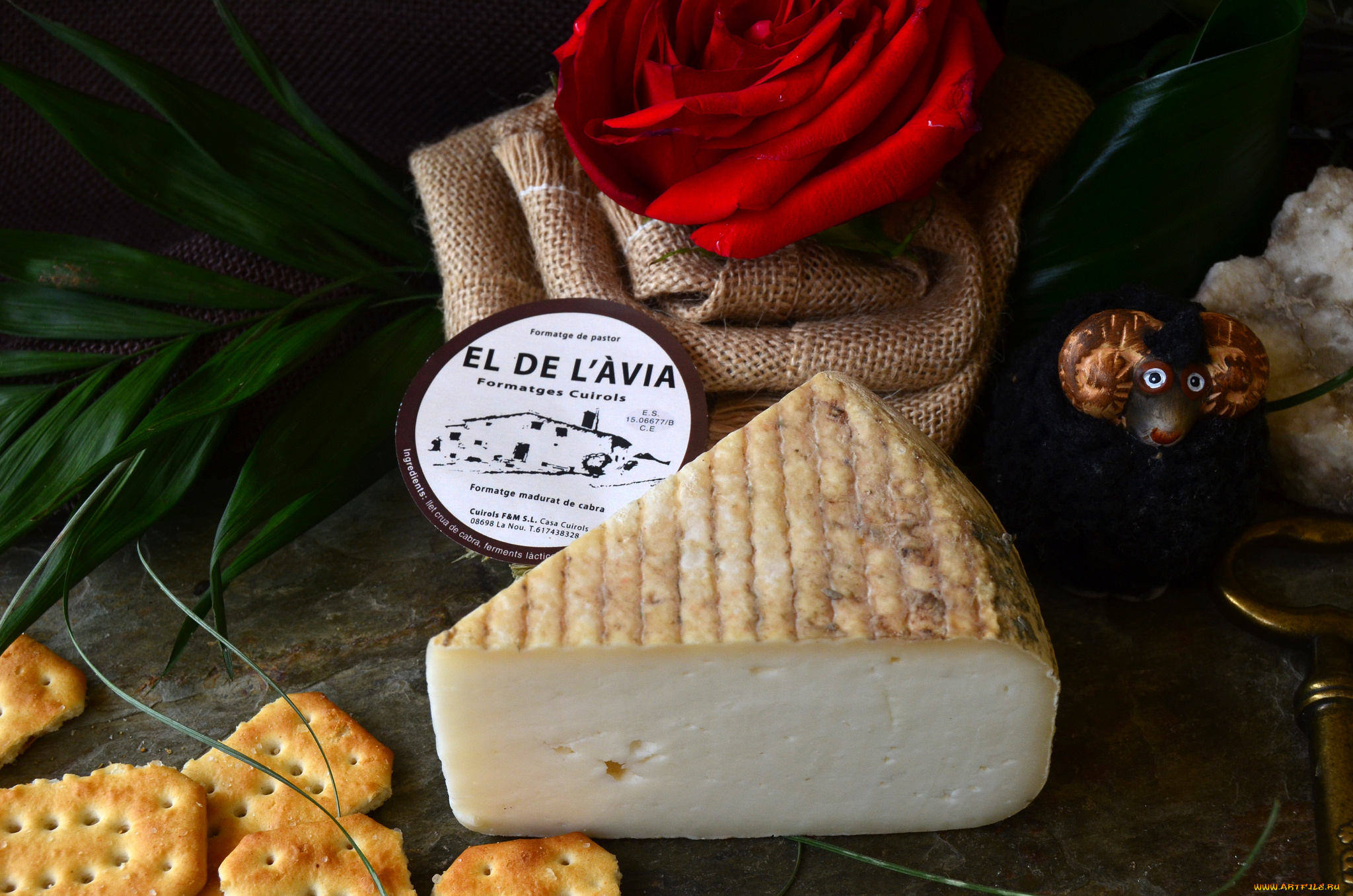 el, de, l`&, 192, via, еда, сырные, изделия, сыр