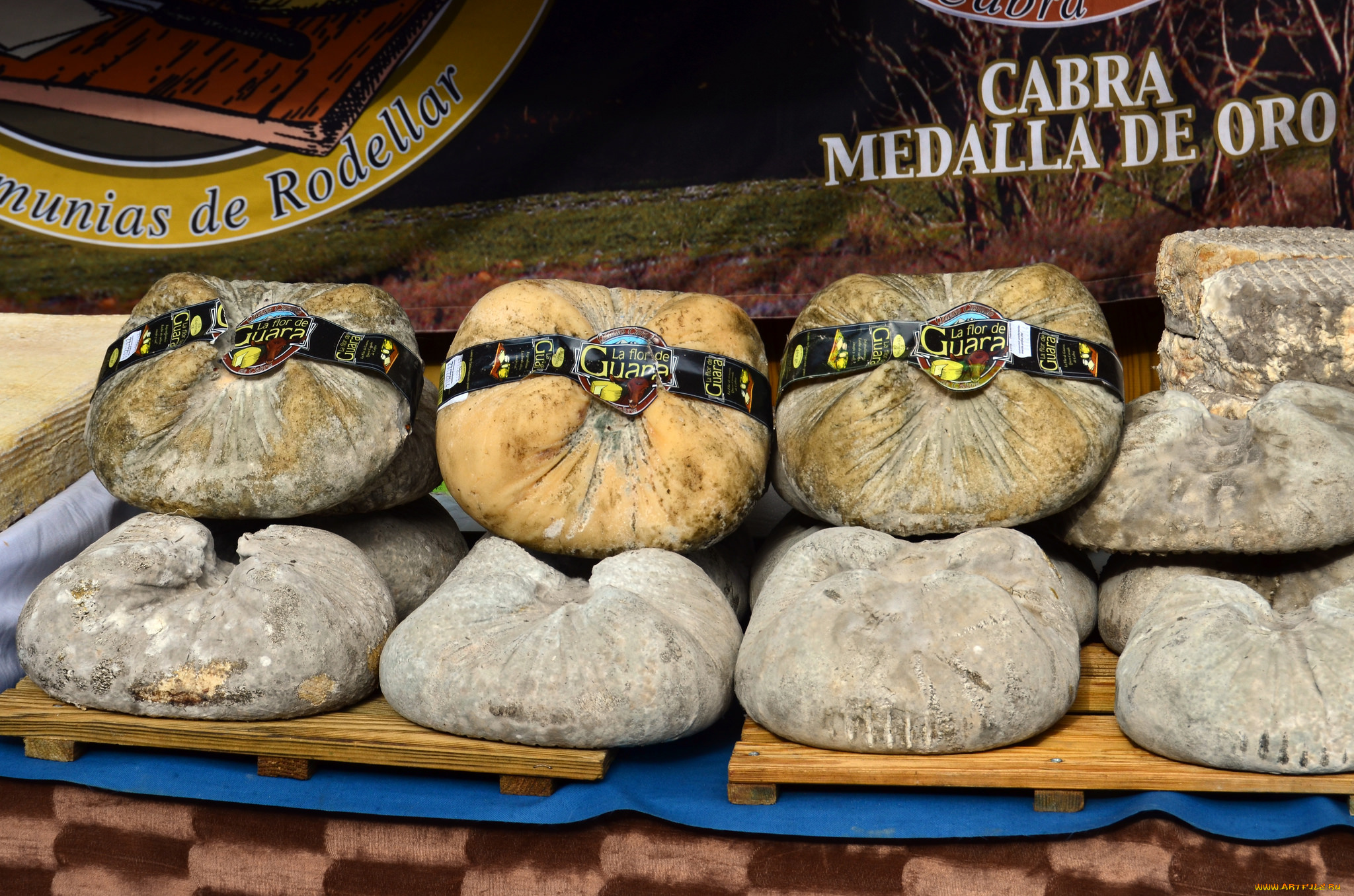 la, flor, de, guara, еда, сырные, изделия, сыр