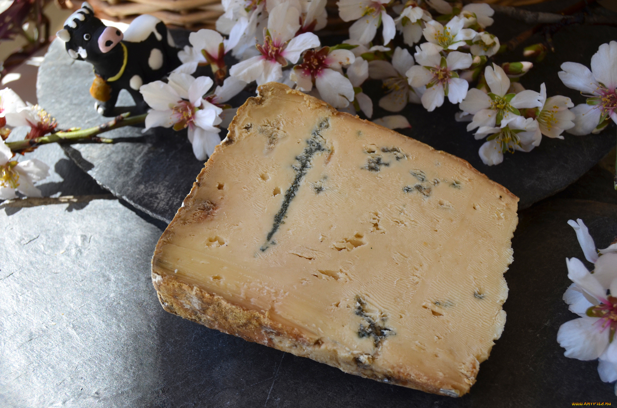 l`atrevit, de, betara, еда, сырные, изделия, сыр