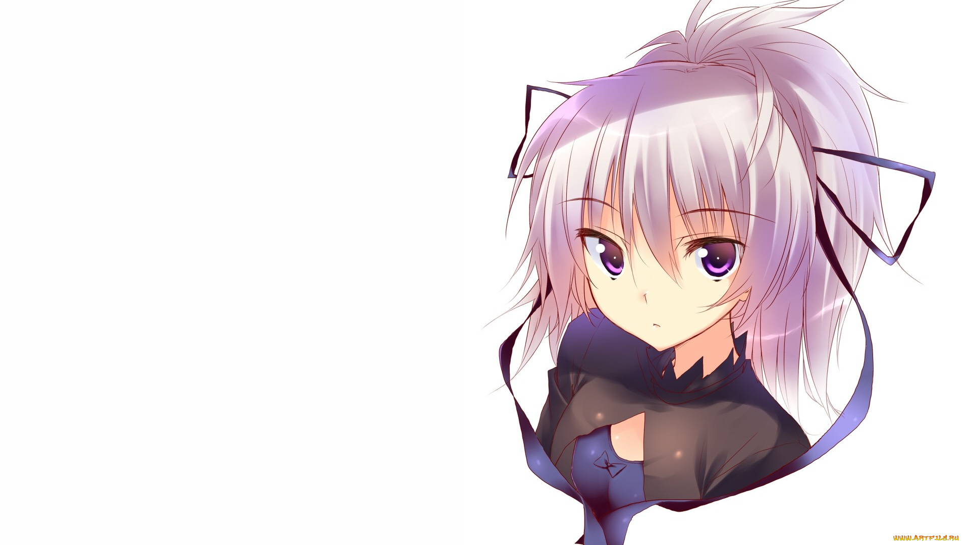 аниме, darker, than, black, инь