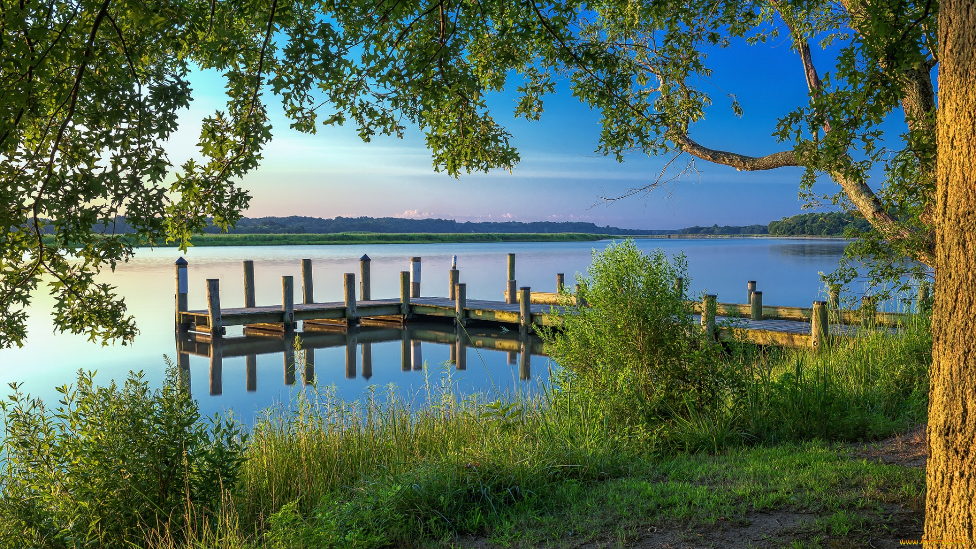 природа, реки, озера, лес, река