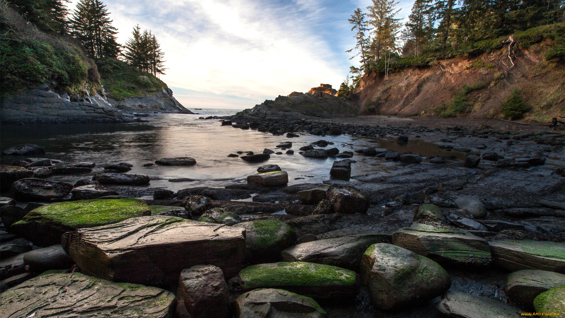 природа, реки, озера, мох, деревья, камни, река