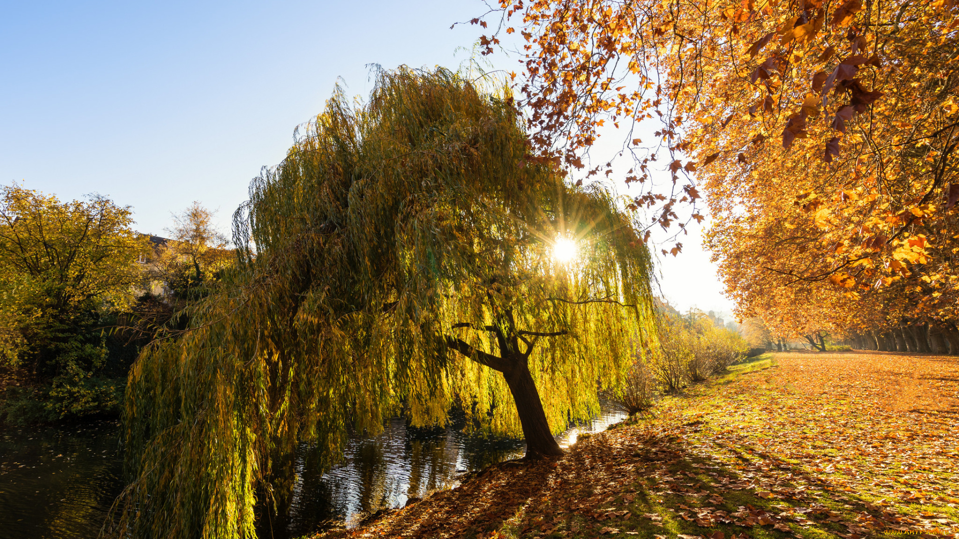 природа, восходы, закаты, рассвет