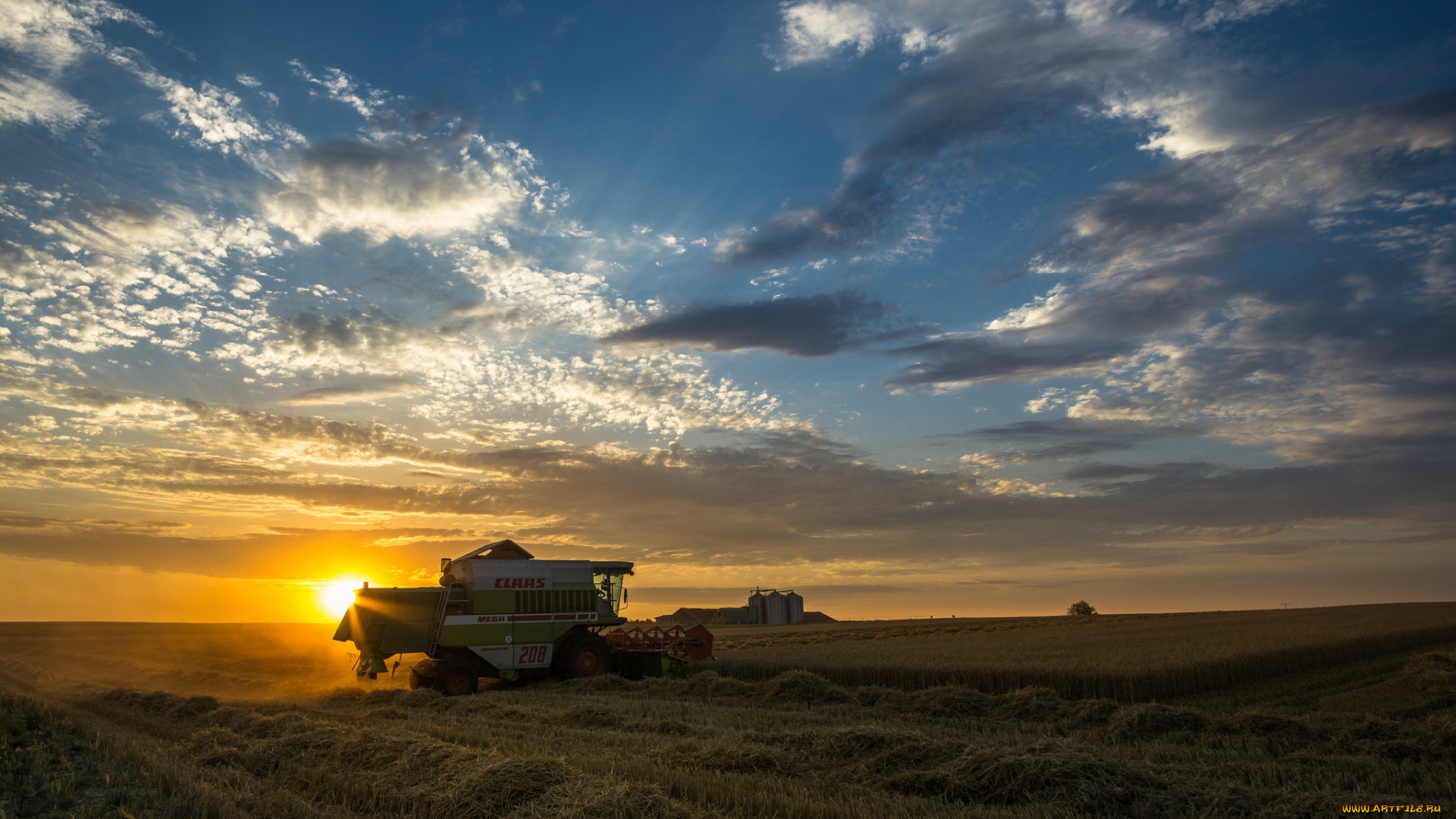 техника, комбайны, рассвет