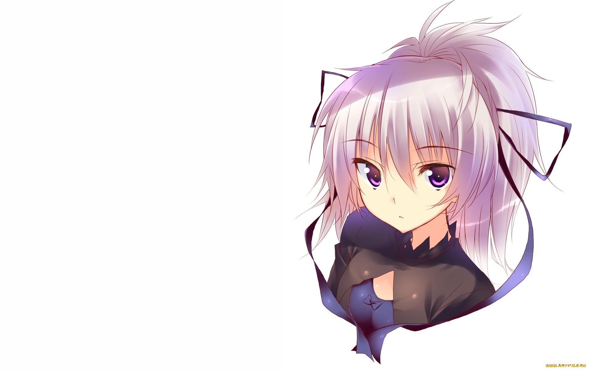 аниме, darker, than, black, инь