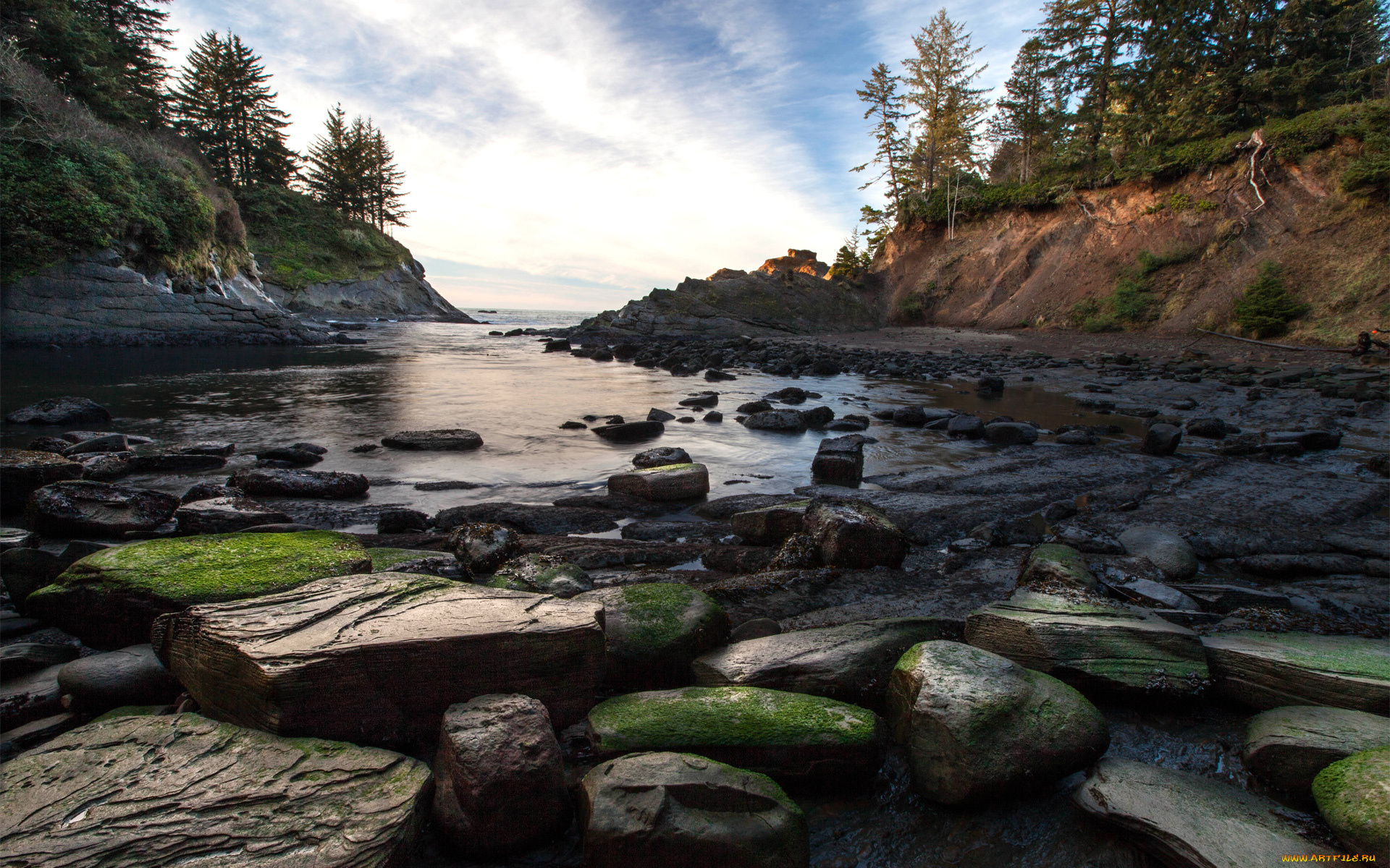 природа, реки, озера, мох, деревья, камни, река