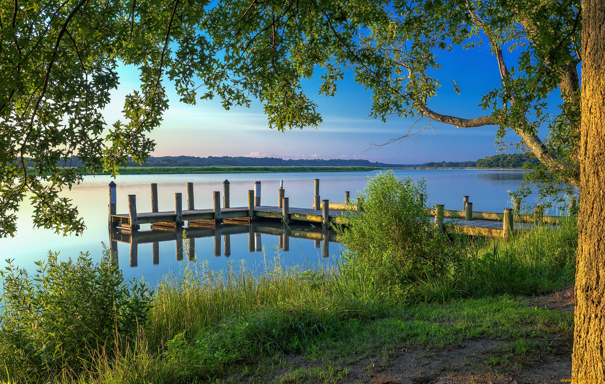 природа, реки, озера, лес, река