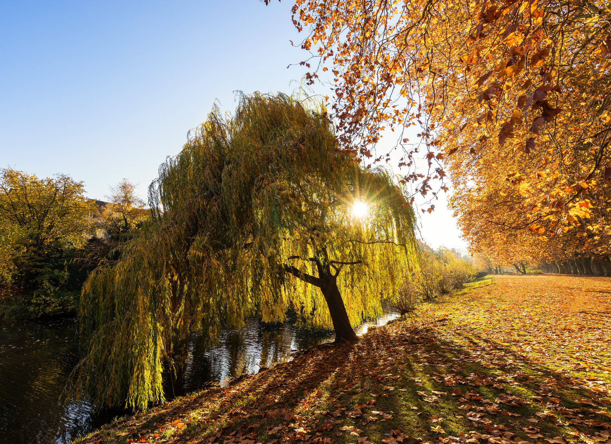 природа, восходы, закаты, рассвет