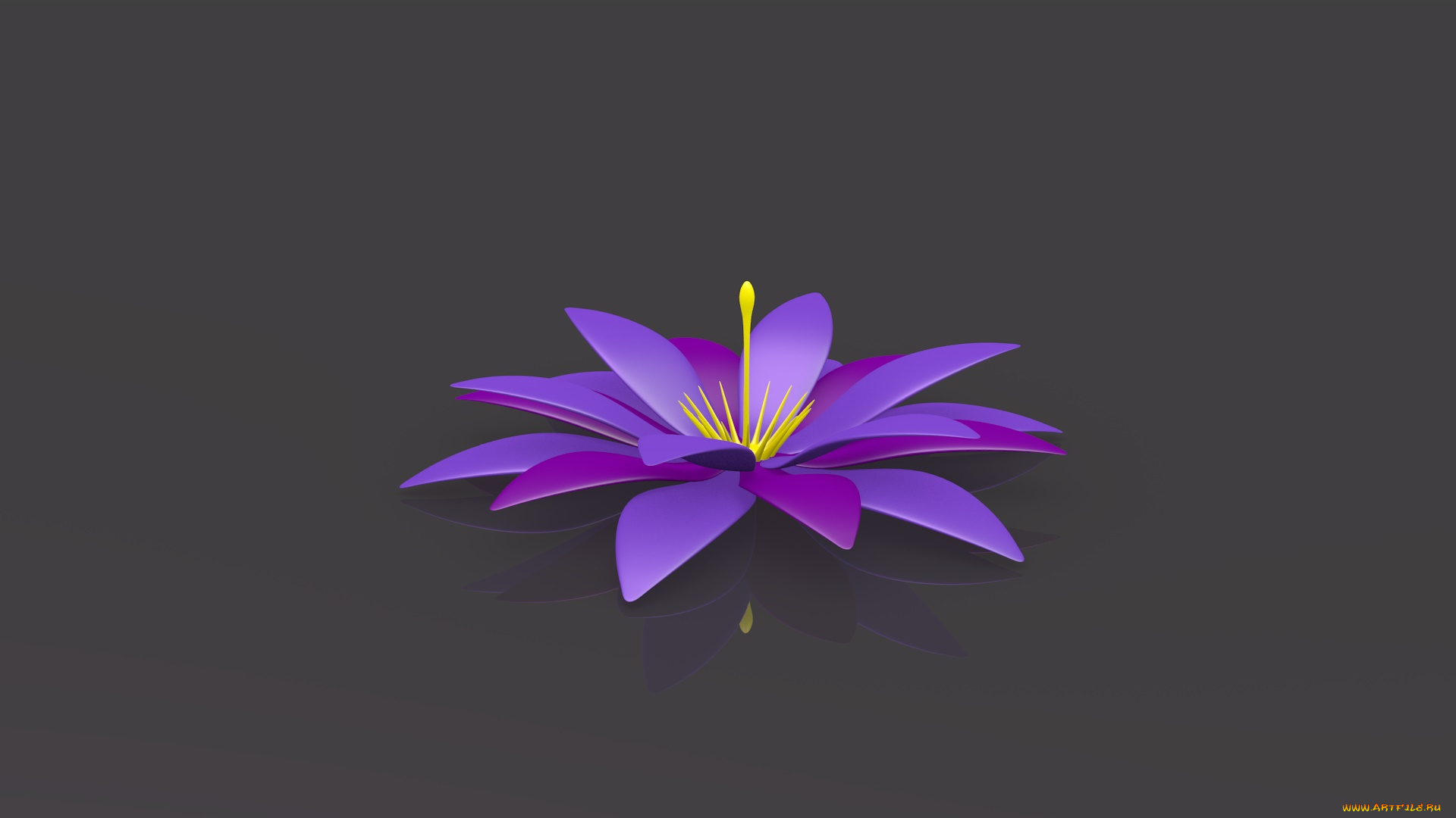 3д, графика, цветы, , flowers, лепестки, фон