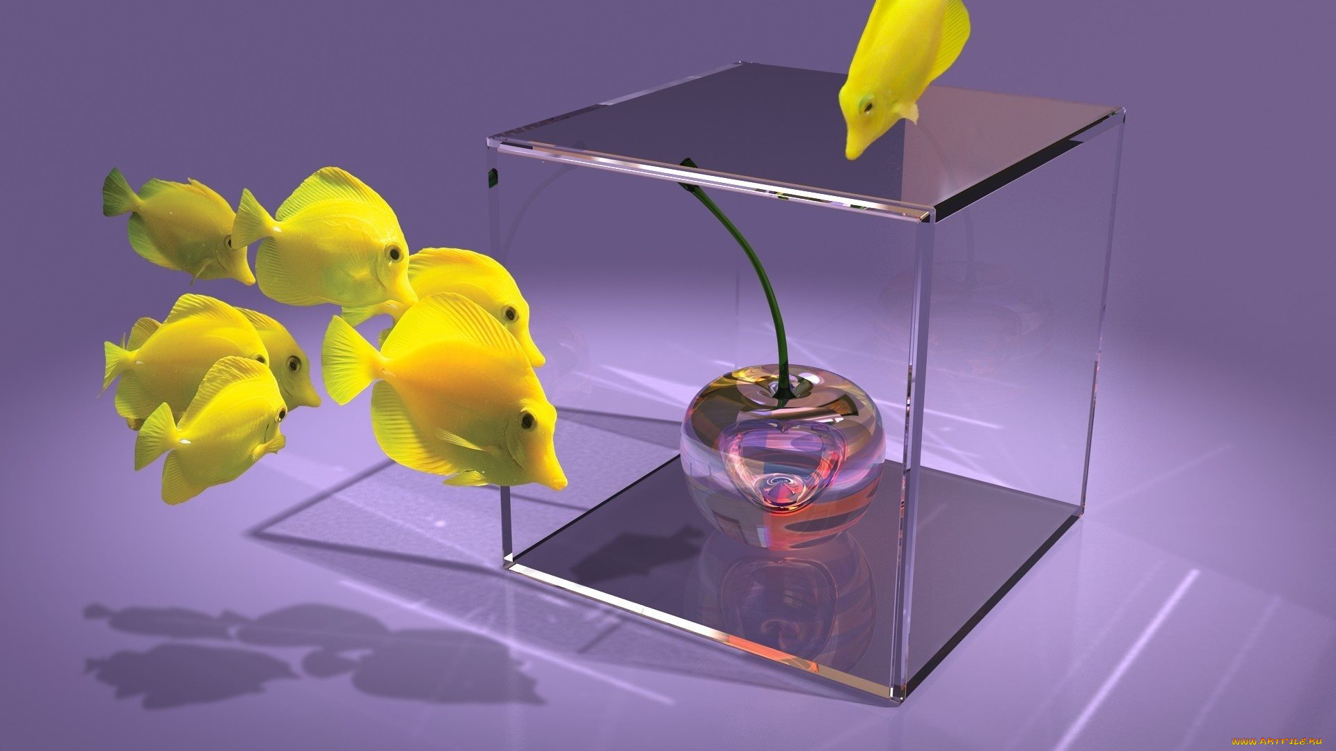 3д, графика, животные, , animals, рыбы