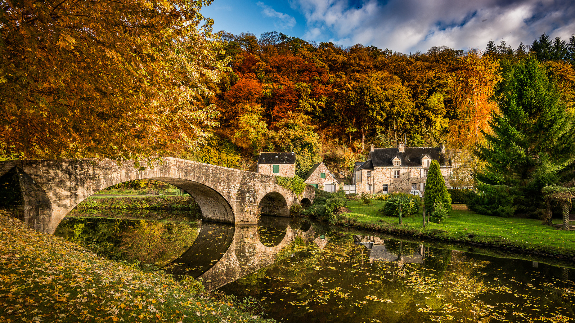города, -, мосты, лес, река