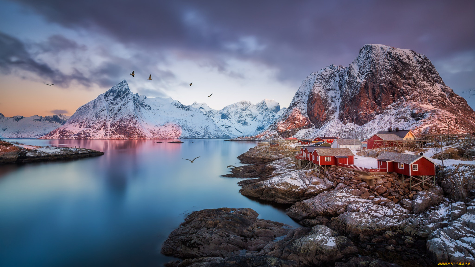 города, -, пейзажи, фьорд, скалы, норвегия, горы, птицы, поселок, лофотенские, острова
