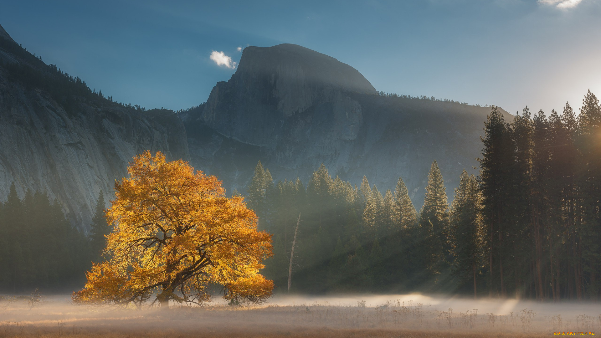 природа, горы, дерево, свет, лес, сша