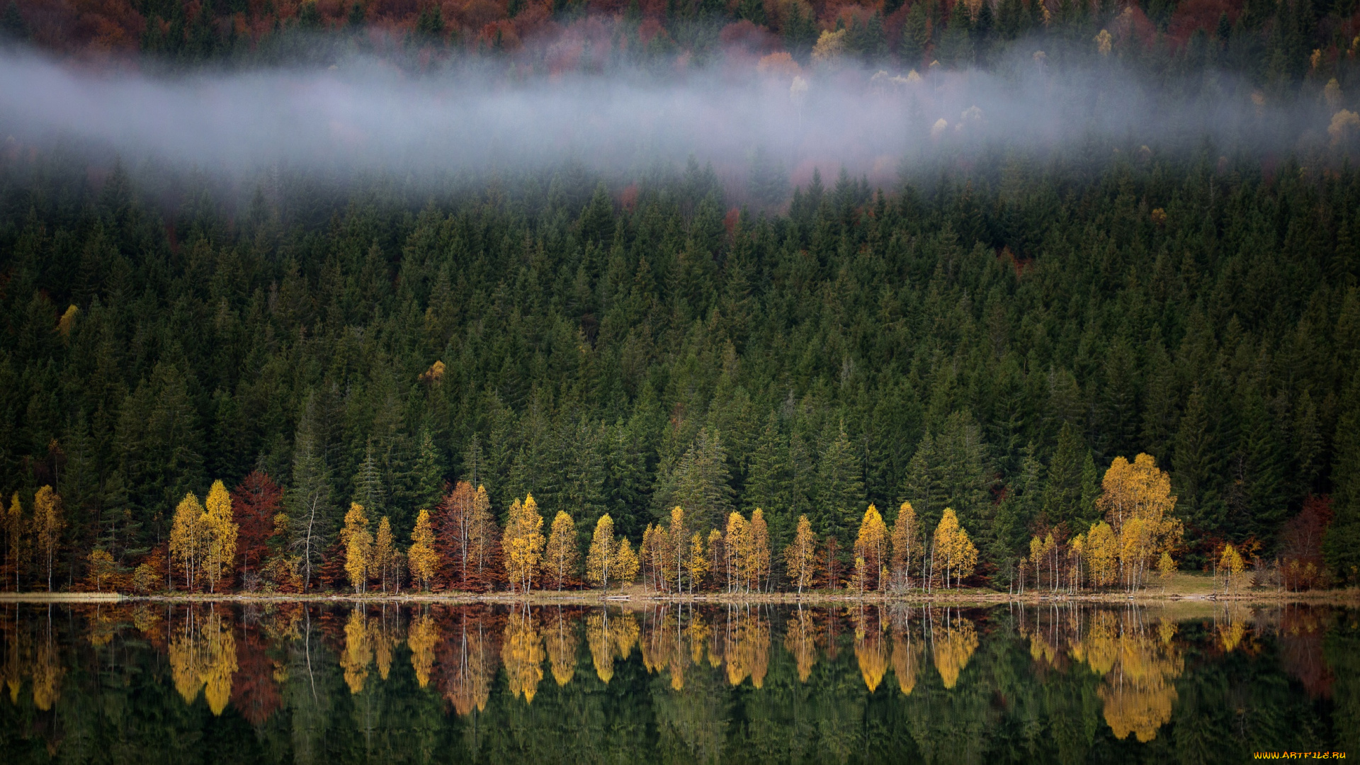природа, реки, озера, туман, озеро, река, осень, лес