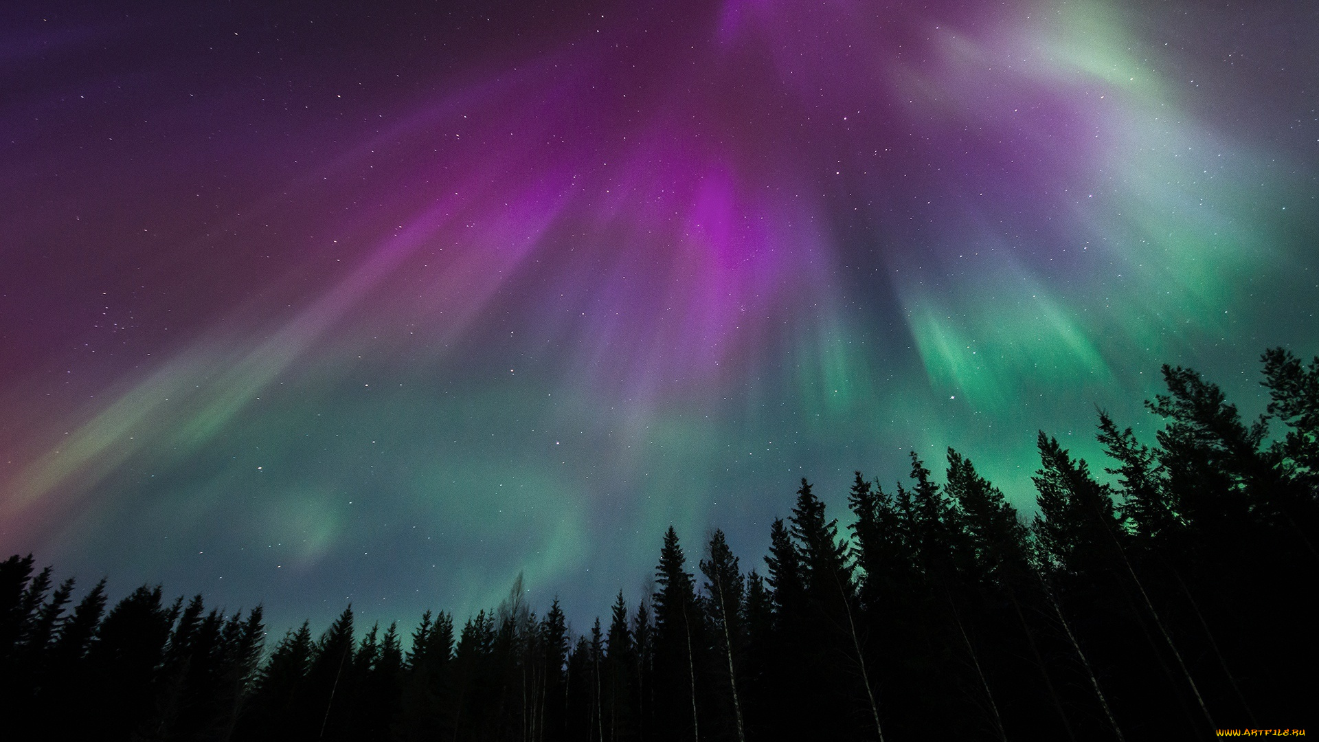 природа, северное, сияние, ночь, звезды, лес, северное, сияние, небо