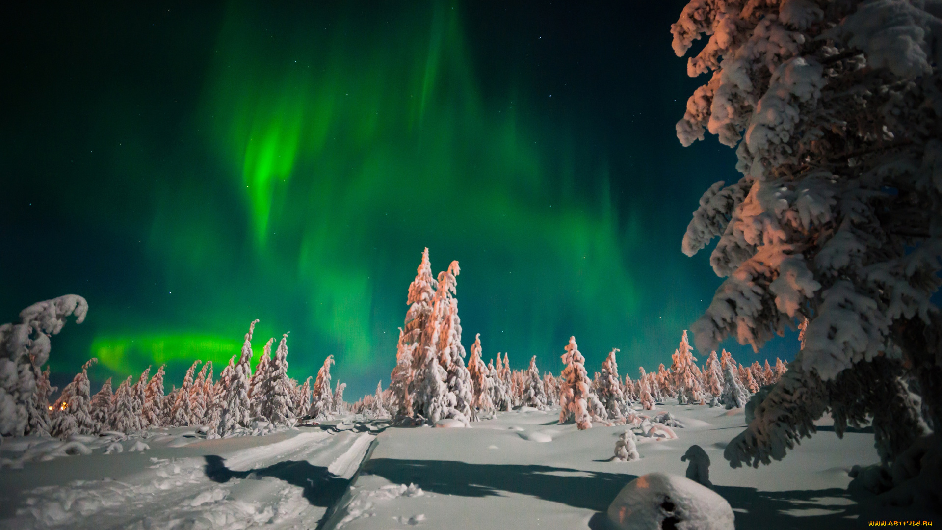 природа, северное, сияние, северное, сияние, ночь, лес, небо, сугробы, снег, звёзды, зима, дорога, деревья