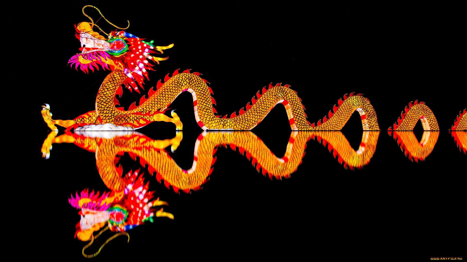 векторная, графика, животные, , animals, дракон