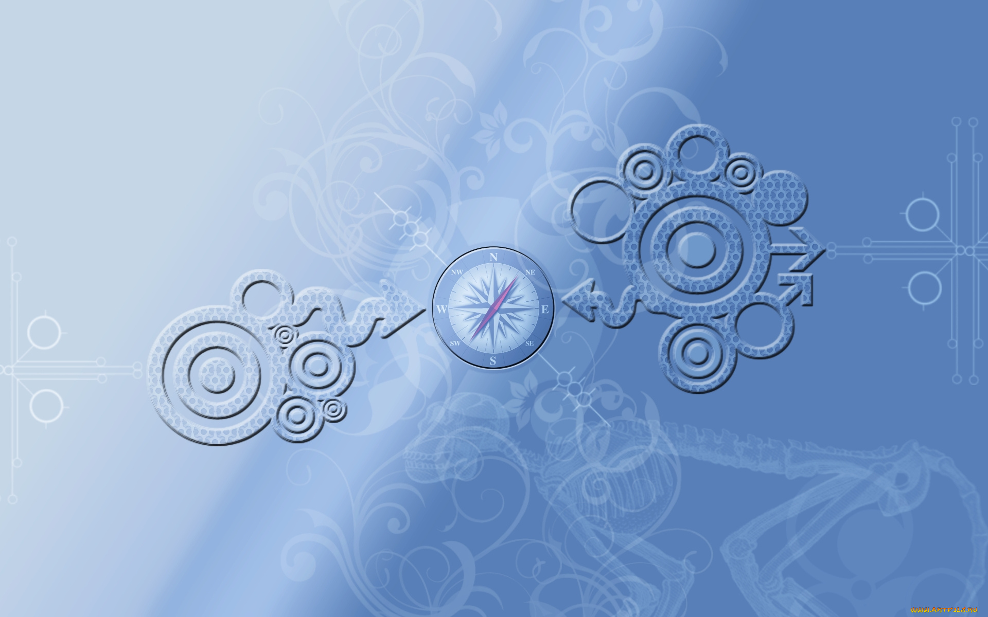 векторная, графика, другое, , other, узор