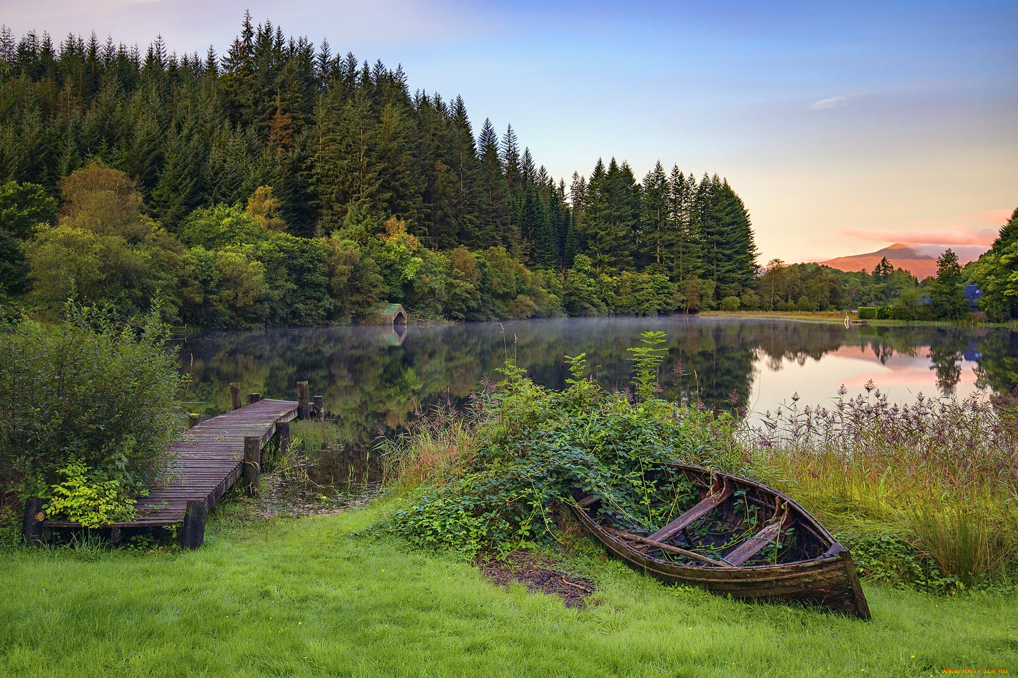 корабли, лодки, , шлюпки, озеро, лодка, деревья, кусты