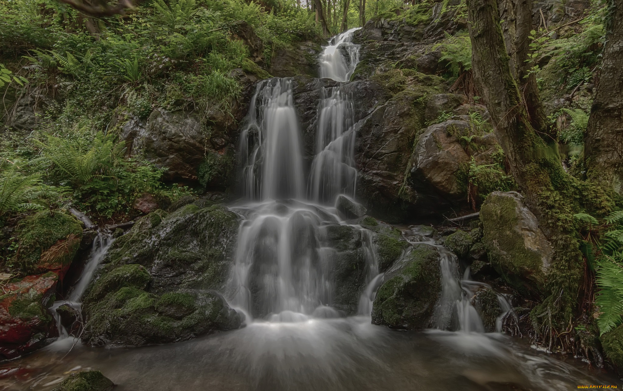 природа, водопады, река, водопад, лес