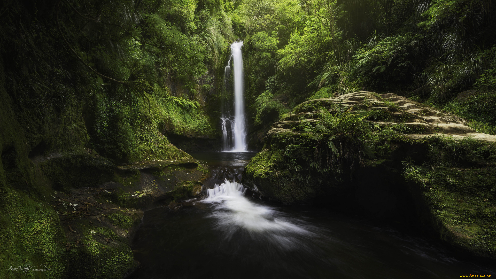природа, водопады, лес, водопад, река