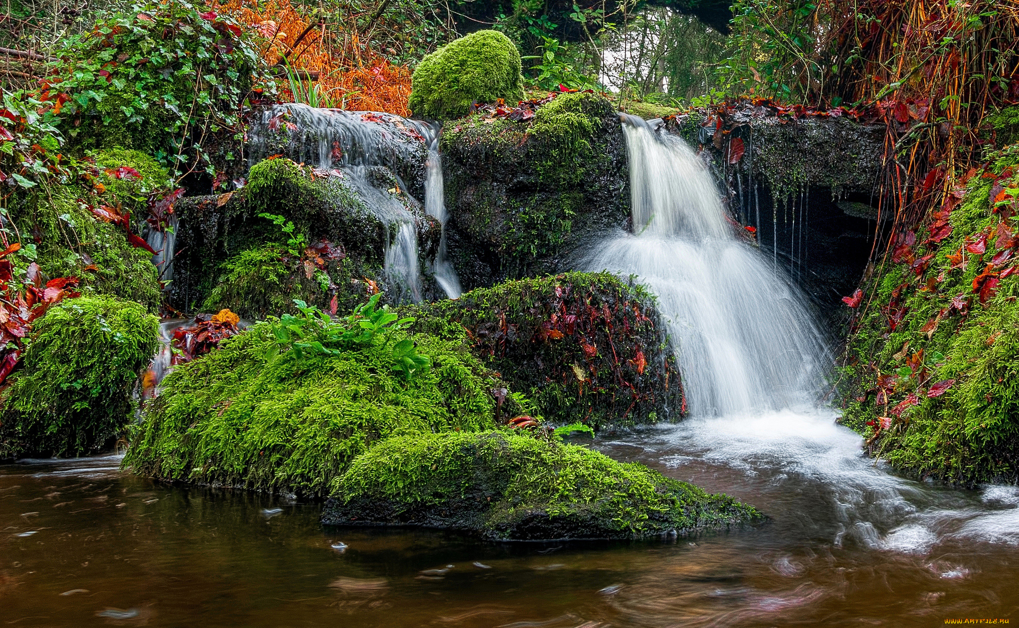 природа, водопады, лес, водопад, река