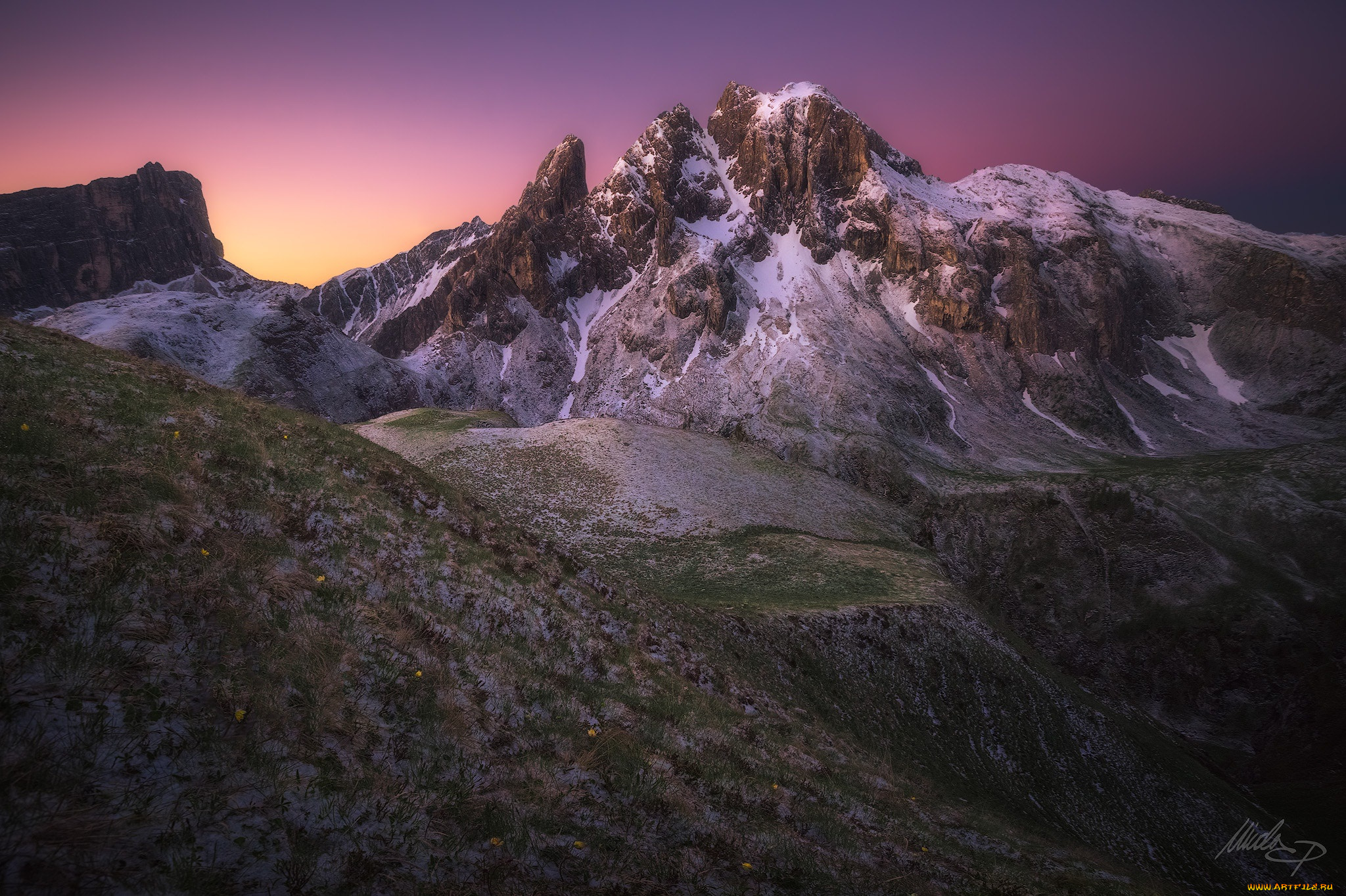 природа, горы, цветы, трава, скалы, снег