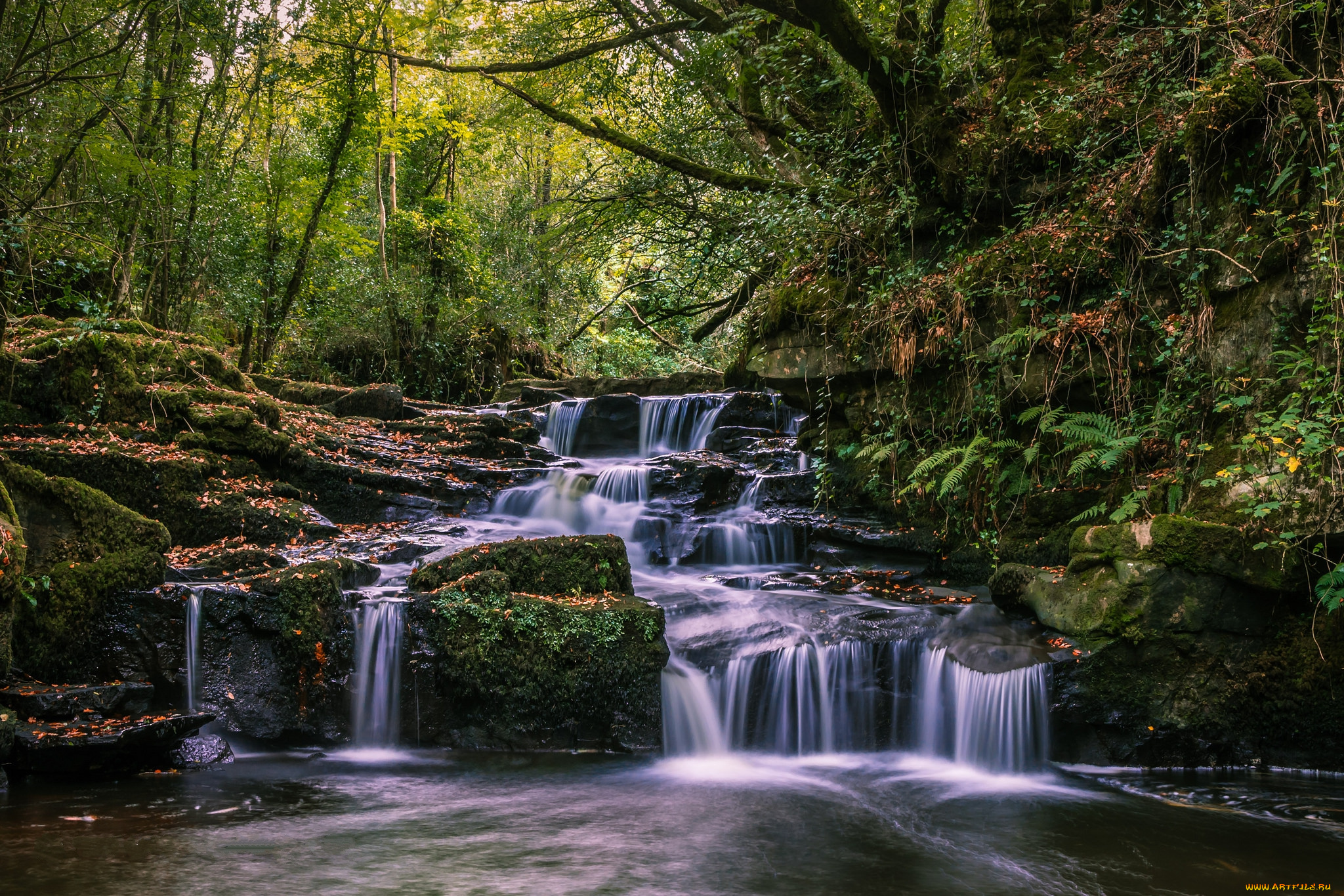 природа, водопады, водопад, лес, река