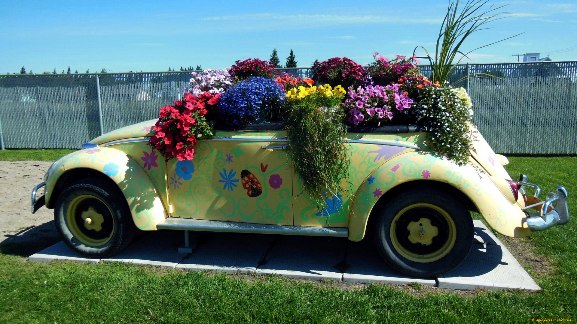 цветы, разные, вместе, оригинальная, клумба