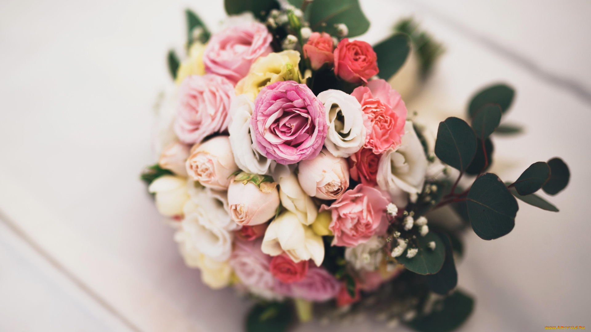 цветы, розы, букет, разноцветные, листья