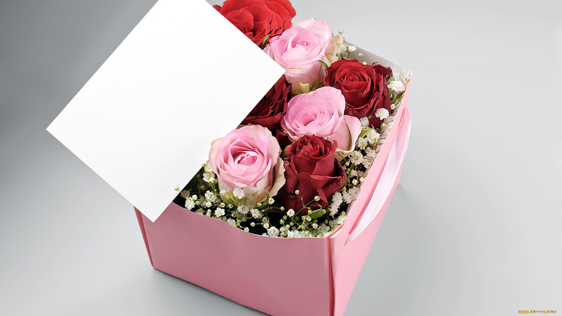 цветы, розы, подарок, бутоны