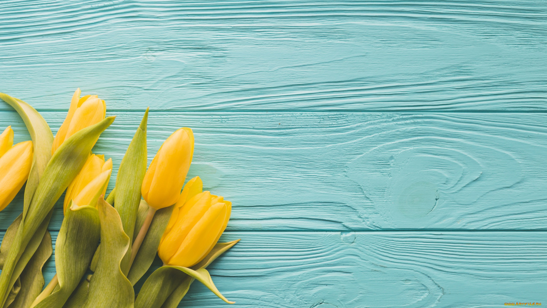 цветы, тюльпаны, yellow, букет, tulips, желтые, wood