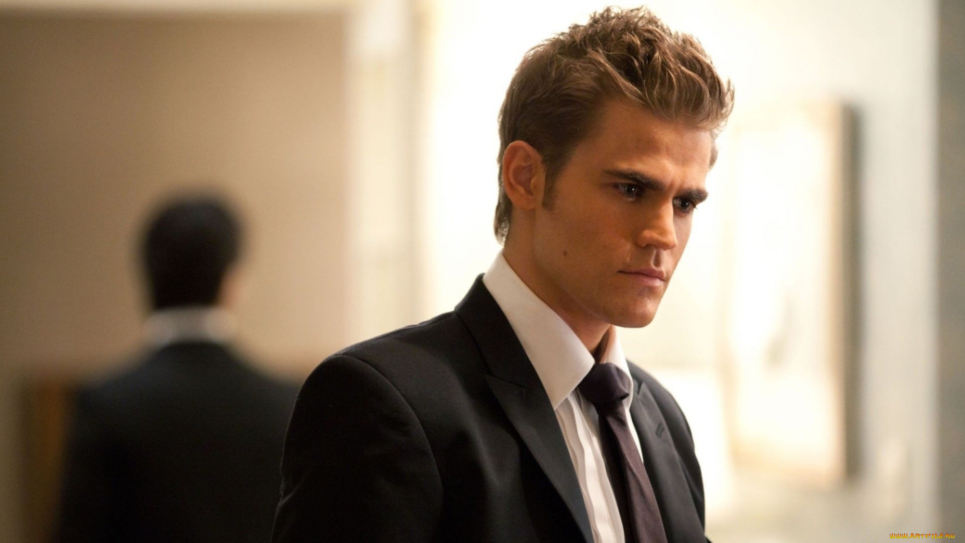 мужчины, paul, wesley, галстук, пиджак, костюм, блондин, актер
