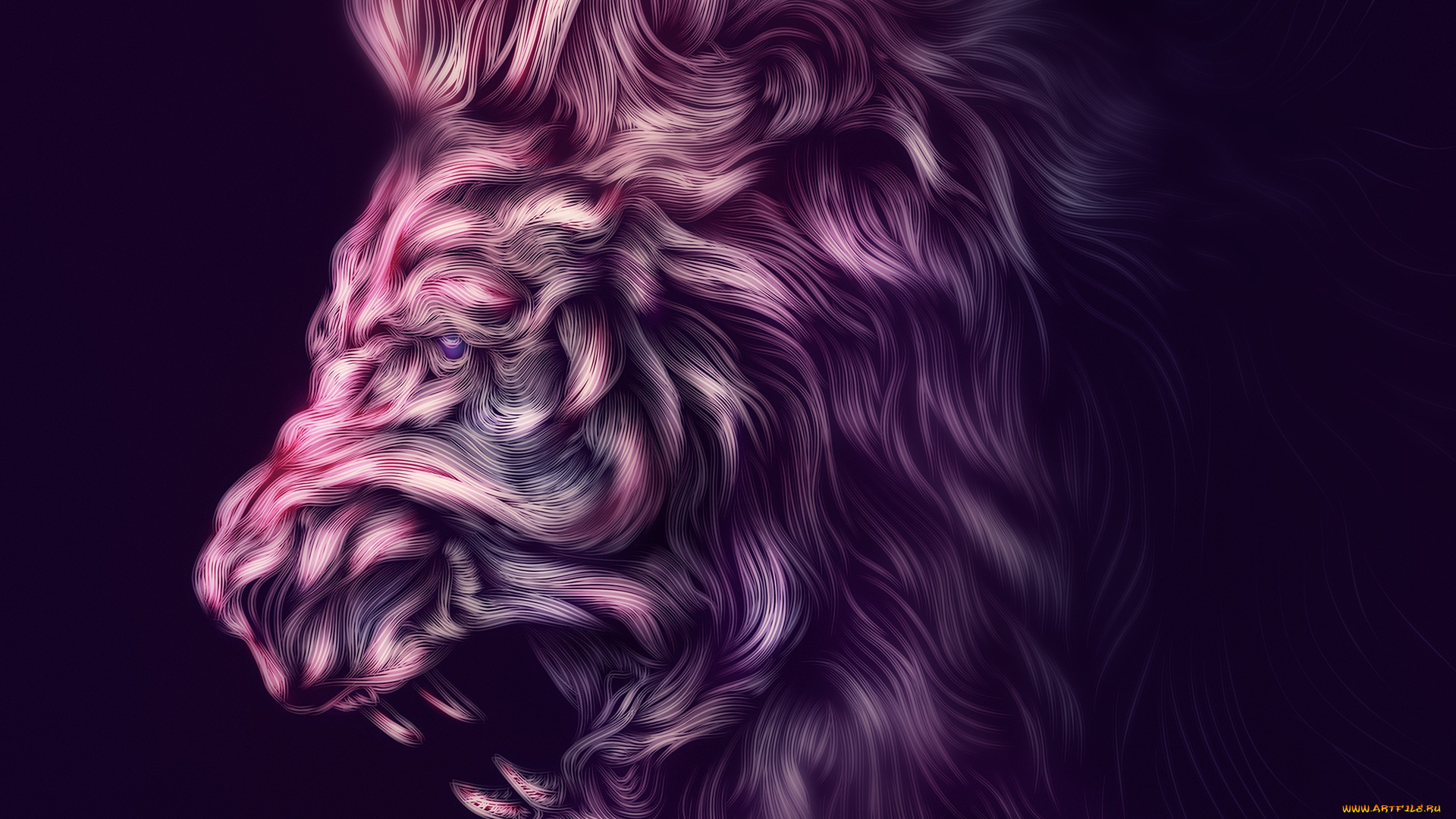 разное, компьютерный, дизайн, профиль, животное, хищник, фон, арт, лев, ahmed, karam